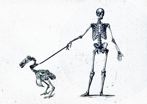 Walking my dodo, 2015 (vegyes technika, vászon) alkotó: Teis Albers