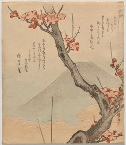 Szilvafa a Fuji-hegygel