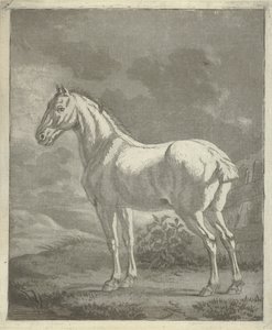 Penész a réten alkotó: Tethart Philip Christian Haag