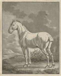 Penész a réten alkotó: Tethart Philip Christian Haag