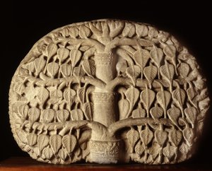 Bodhi fa alkotó: Thai School