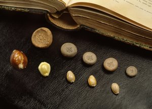 Cowrie kagylópénz és terrakotta érmék az Ayutthaya időszakból (kagyló és terrakotta)