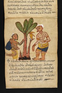 Vagy. 16482, f.21 „Satra”  Jóslásról és tanácsokról a boldog és egészséges élethez (hajtogatós könyv) alkotó: Thai School