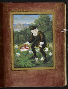 Stowe 955 f.6r Pierre Sala miniatűrje, amint „szívét” margarétává dobja, miniatűr a „Petit Livre d