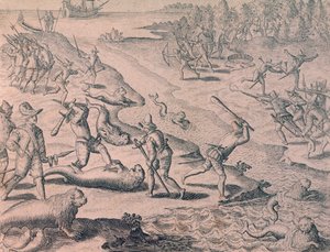 Oroszlánfókák lemészárlása felfedezők által alkotó: Theodor de Bry