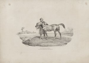 Egy arab ló alkotó: Theodore Gericault