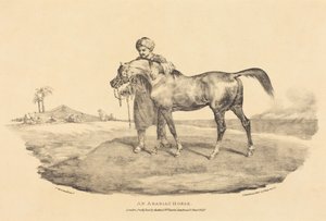 Egy arab ló alkotó: Theodore Gericault