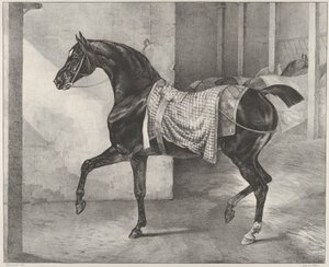 Egy istállóban kikötött fekete ló alkotó: Theodore Gericault