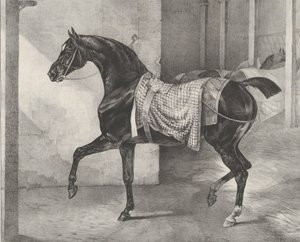 Fekete ló egy istállóba kötve, 1822. alkotó: Theodore Gericault