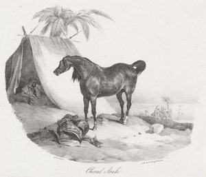 Arab ló (An Arabian Horse) alkotó: Theodore Gericault