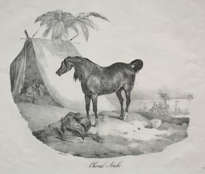 arab ló. alkotó: Theodore Gericault