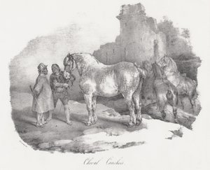 Cheval Cauchois (a normandiai Caux-ból származó őshonos lófajta) alkotó: Theodore Gericault