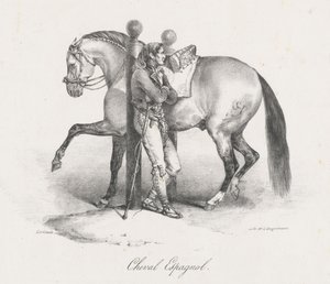 Spanyol ló (A Spanish Horse) alkotó: Theodore Gericault