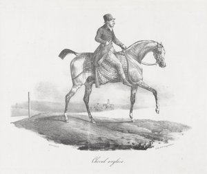 Angol ló (An English Horse) alkotó: Theodore Gericault