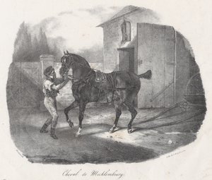 Mecklemburgi ló (A Mecklembourg Horse) alkotó: Theodore Gericault
