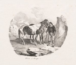 Auvergne lovak alkotó: Theodore Gericault