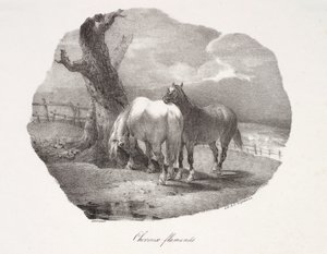 Flamand lovak alkotó: Theodore Gericault