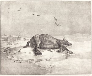 Döglött ló alkotó: Theodore Gericault