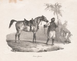 Egyiptomi kanca alkotó: Theodore Gericault