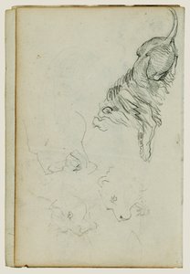 Négy oroszlántanulmány alkotó: Theodore Gericault