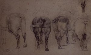 Hámozott lovak (ceruza) alkotó: Theodore Gericault
