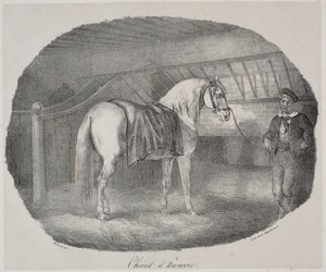 Ló Hannoverből alkotó: Theodore Gericault