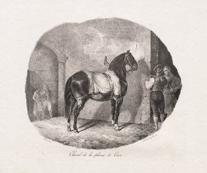 Ló a Caen-síkságról alkotó: Theodore Gericault