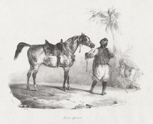 Egyiptomi kanca (An Egyptian Mare) alkotó: Theodore Gericault