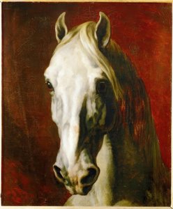 Fehér ló feje alkotó: Theodore Gericault