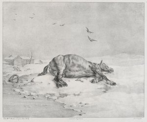 A halott ló (The Dead Horse) alkotó: Theodore Gericault