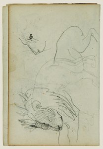 Oroszlán tanulmányok alkotó: Theodore Gericault