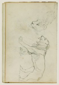 Sétáló oroszlán, oroszlánnő feje alkotó: Theodore Gericault