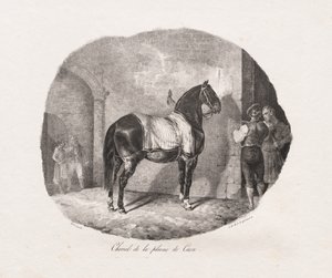 Litografált lótanulmányok: Pl. 7, Ló a Caen-síkságról alkotó: Theodore Gericault