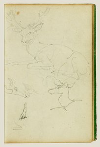 Egy ülő szarvas, egy szarvasborjú és egy kecskekopf ábrázolásáról szóló tanulmányok alkotó: Theodore Gericault
