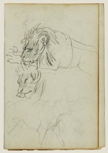 Három oroszlántanulmány alkotó: Theodore Gericault
