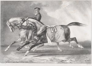 Két foltos szürke ló edzés közben alkotó: Theodore Gericault