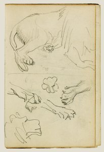 Különböző tanulmányok az oroszlán lábáról, mancsáról és fejéről alkotó: Theodore Gericault