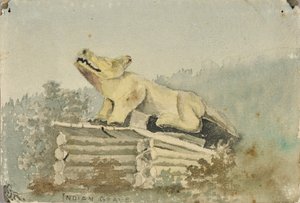 Indián sír. Farkas-totem az orvostanhallgató sírja felett, Wrangell alkotó: Theodore J. Richardson