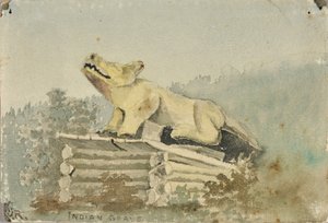 Indiai sír. Wolf Totem a Medicine Man Grave felett, Wrangell, kb. 1880-1914.