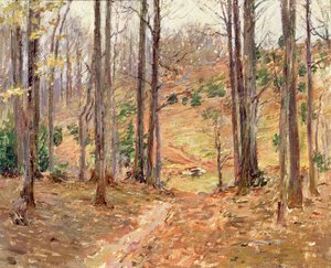 Virginia Woods, 1893 alkotó: Theodore Robinson