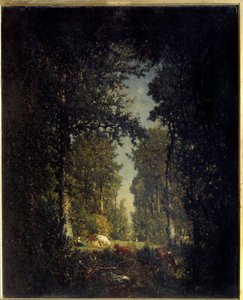 Egy sugárút, Adam-sziget erdő. Theodore Rousseau (1812-1867) festménye