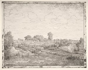 A növényi síkság Biauban alkotó: Theodore Rousseau