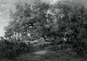 Táj, c. 1860. alkotó: Theodore Rousseau