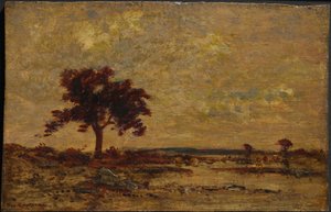 Marshlands, dátum nélkül (olaj, fapanel) alkotó: Theodore Rousseau
