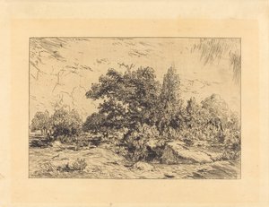 Kilátás a Plateau de Bellecroix-ra alkotó: Theodore Rousseau