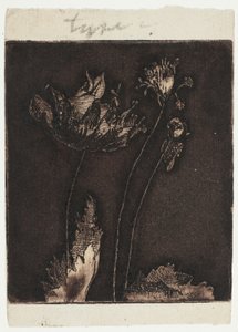 Utolsó Pipacsok alkotó: Theodore Roussel