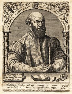 Adam Lonicer vagy Lonitzer alkotó: Theodore de Bry