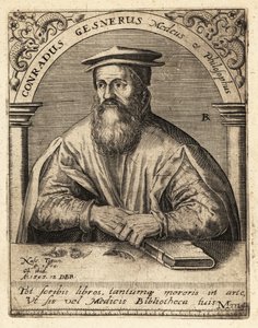 Conrad Gessner, svájci orvos alkotó: Theodore de Bry