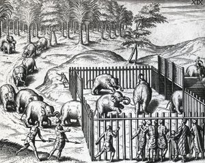 Theodor de Bry (1528-1598) elefántvadászata Pegu királyságában (ma Mianmar), metszet alkotó: Theodore de Bry