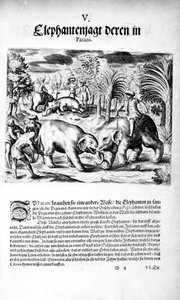 Elefántharc, 1606 alkotó: Theodore de Bry